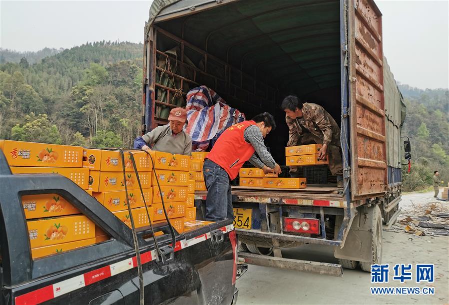 (決戰(zhàn)決勝脫貧攻堅(jiān)·圖文互動(dòng))(6)另一種“逆行”——廣西5300余名駐村第一書記提前返崗?fù)渡怼皟删€作戰(zhàn)”